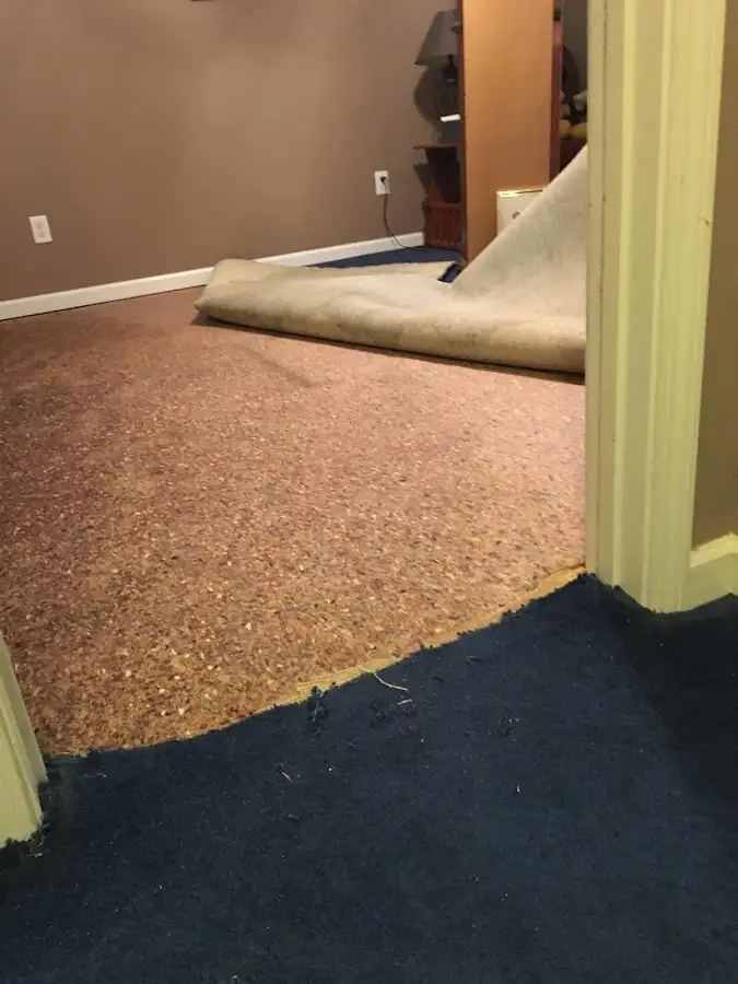 Carpet pad removal revealing water damage during Drying & Dehumidification in Guilford